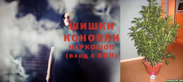 ешки Белокуриха