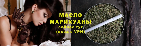 сатива Беломорск
