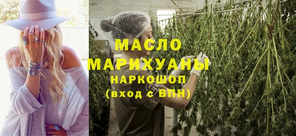 сатива Беломорск