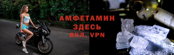 сатива Беломорск