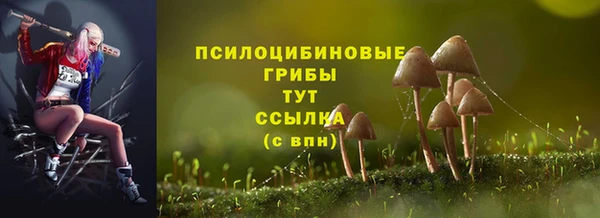 ешки Белокуриха