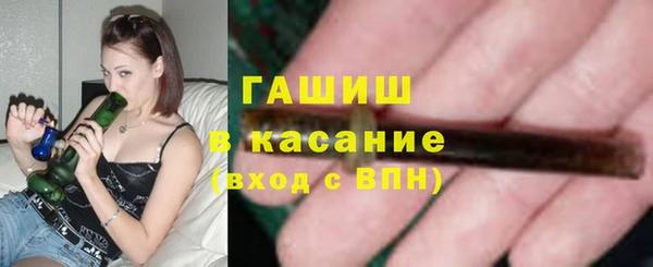сатива Беломорск