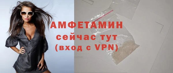 сатива Беломорск