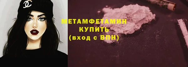 сатива Беломорск