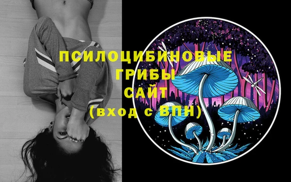 бошки Белоозёрский