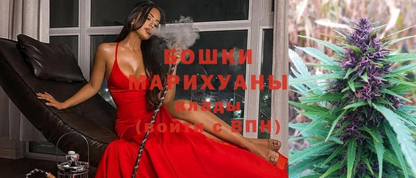 сатива Беломорск