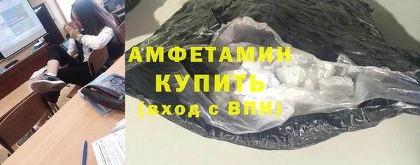 сатива Беломорск