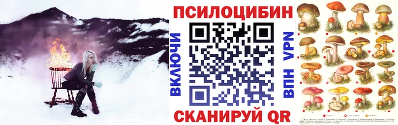 Галлюциногенные грибы MAGIC MUSHROOMS  Александровское 
